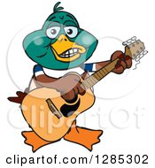 Poster, Art Print Of Cartoon Happy Mallard Duck Playing An Acoustic Guitar