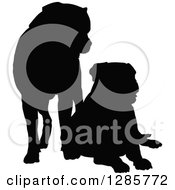 Black Silhouetted Mastiff Dogs Standing And Resting