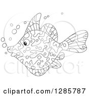 Clipart Of A Black And White Marine Fish Royalty Free Vector Illustration