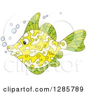 Poster, Art Print Of Green And Yellow Marine Fish