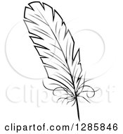Poster, Art Print Of Black And White Feather 7