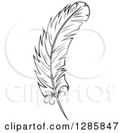 Poster, Art Print Of Black And White Feather 8