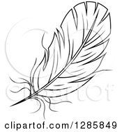 Poster, Art Print Of Black And White Feather 10