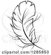 Poster, Art Print Of Black And White Feather 11