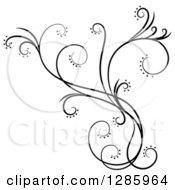 Poster, Art Print Of Black And White Scroll Design Element With Floral Swirls 4