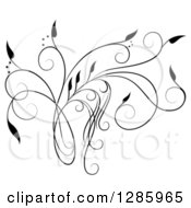 Poster, Art Print Of Black And White Scroll Design Element With Floral Swirls 5