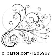 Poster, Art Print Of Black And White Scroll Design Element With Floral Swirls 2