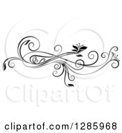 Poster, Art Print Of Black And White Scroll Design Element With Floral Swirls
