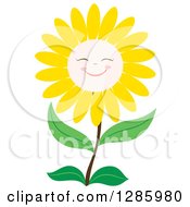 Happy Yellow Daisy Or Sunflower Smiling