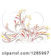 Poster, Art Print Of Brown Orange Red And Yellow Floral Design Element