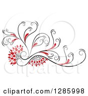 Poster, Art Print Of Black And Red Floral Design Element
