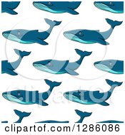 Poster, Art Print Of Seamless Pattern Background Of Swimming Blue Whales