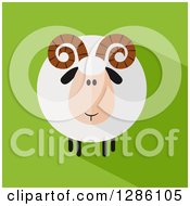 Poster, Art Print Of Modern Flat Design Round Fluffy White Ram Sheep With A Shadow On Green