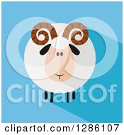 Poster, Art Print Of Modern Flat Design Round Fluffy White Ram Sheep With Shadows On Blue