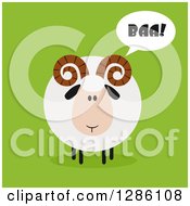 Poster, Art Print Of Modern Flat Design Round Fluffy White Ram Sheep Baaing On Green