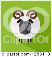 Poster, Art Print Of Modern Flat Design Round Fluffy Black Ram Sheep With A Shadow On Green