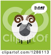 Modern Flat Design Round Fluffy Black Ram Sheep Baaing On Green