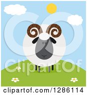 Poster, Art Print Of Modern Flat Design Round Fluffy Black Ram Sheep On A Hill