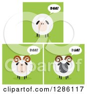 Poster, Art Print Of Modern Flat Designs Of Round Fluffy White And Black Baaing Sheep And Rams Over Green Tiles