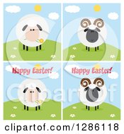 Poster, Art Print Of Modern Flat Designs Of Round Fluffy White And Black Sheep And Rams On Hills Some With Happy Easter Text
