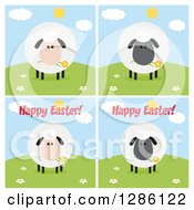 Poster, Art Print Of Modern Flat Designs Of Round Fluffy White And Black Sheep On Hills Some With Happy Easter Text