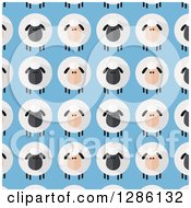 Clipart Of A Background Pattern Of Modern Flat Designed Fluffy Black And White Sheep Over Blue Royalty Free Vector Illustration