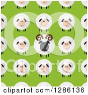 Background Pattern Of Modern Flat Design Round Fluffy White And Black Sheep And Rams On Green