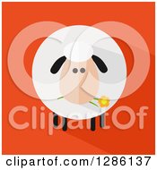 Poster, Art Print Of Modern Flat Design Round Fluffy Sheep Eating A Daisy Flower With A Shadow On Orange