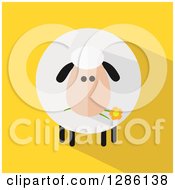 Poster, Art Print Of Modern Flat Design Round Fluffy Sheep Eating A Daisy Flower With A Shadow On Yellow