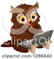 Poster, Art Print Of Brown Owl Sitting On The Floor And Using A Laptop Computer