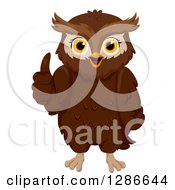 Poster, Art Print Of Happy Brown Owl Giving A Thumb Up