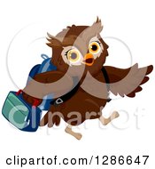 Brown Owl Student Walking To School And Carrying A Lunch Box