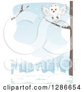 Poster, Art Print Of Snowy Owl Landing On A Tree Branch In A Winter Landscape