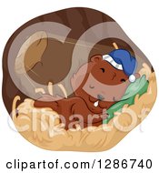 Poster, Art Print Of Cute Rodent Sleeping In A Burrow With Light Shining In