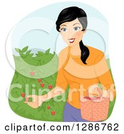 Poster, Art Print Of Happy Asian Woman Picking Raspberries From A Bush
