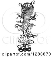 Black And White Woodcut Beanstalk With A Skull At The Top