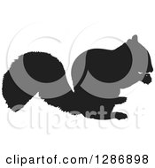 Poster, Art Print Of Black Silhouetted Squirrel Eating A Nut
