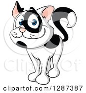 Poster, Art Print Of Cartoon Happy Black And White Cat