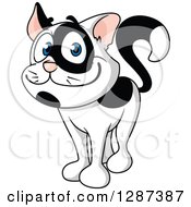 Clipart Of A Cartoon Happy Black And White Cat Royalty Free Vector Illustration
