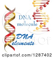 Clipart Of Red And Gold Dna Double Helix Cloning Strands And Text Royalty Free Vector Illustration