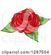 Poster, Art Print Of Glossy Red Rose With Green Leaves