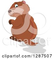 Poster, Art Print Of Cute Groundhog Looking Back At His Shadow