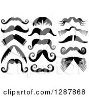 Clipart Of Black And White Mustaches Royalty Free Vector Illustration