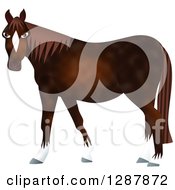 Poster, Art Print Of Brown Horse With White Boots