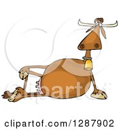 Poster, Art Print Of Relaxed Brown Cow Resting On Its Side