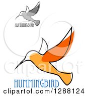 Poster, Art Print Of Sketched Grayscale And Orange Hummingbirds With Text