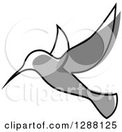 Clipart Of A Sketched Grayscale Hummingbird Royalty Free Vector Illustration by Vector Tradition SM