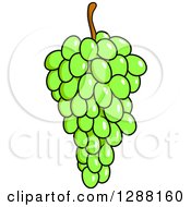 Poster, Art Print Of Bunch Of Bright Green Grapes