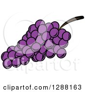 Poster, Art Print Of Purple Grapes