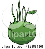 Clipart Of A Green Kohlrabi Royalty Free Vector Illustration